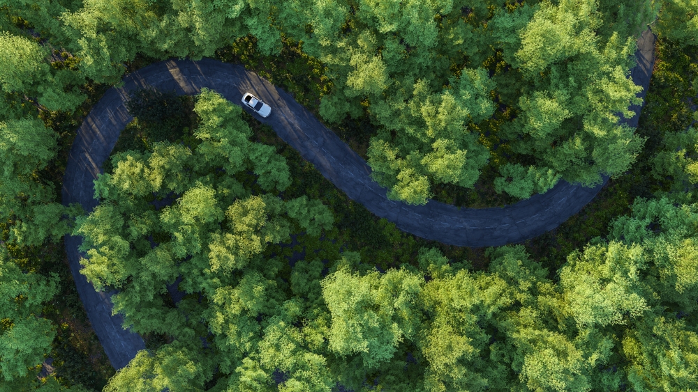 Organisational agility - car driving through woods