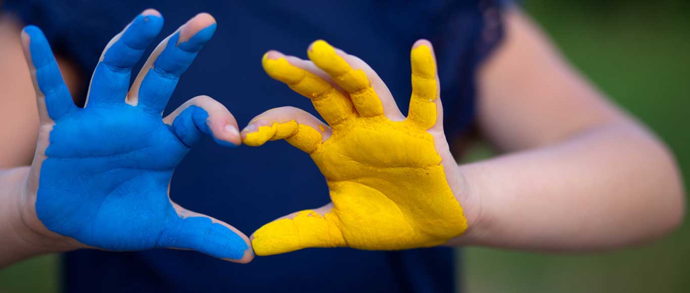 Ukraine flag