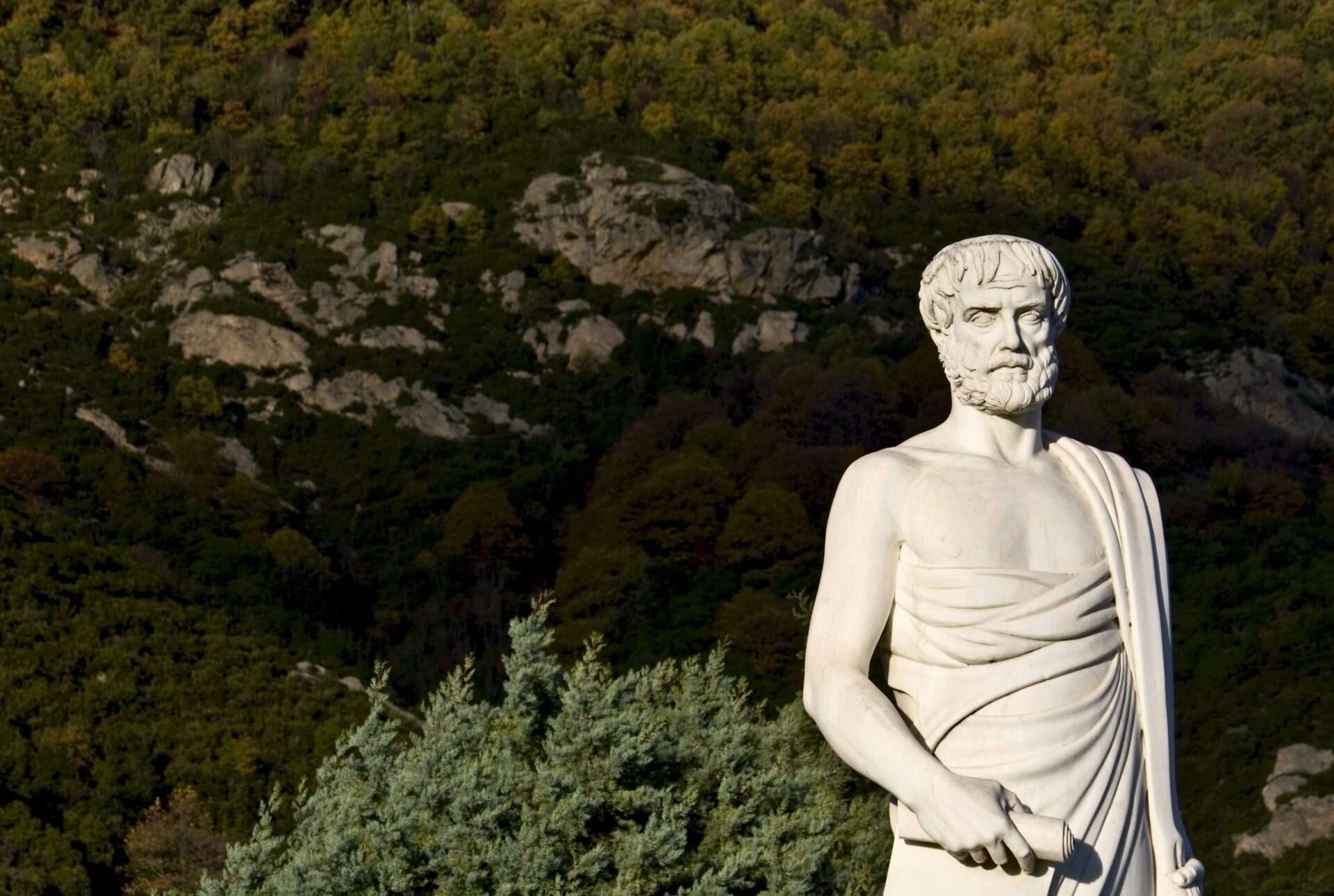 Dialogic Practice in Organisational Culture