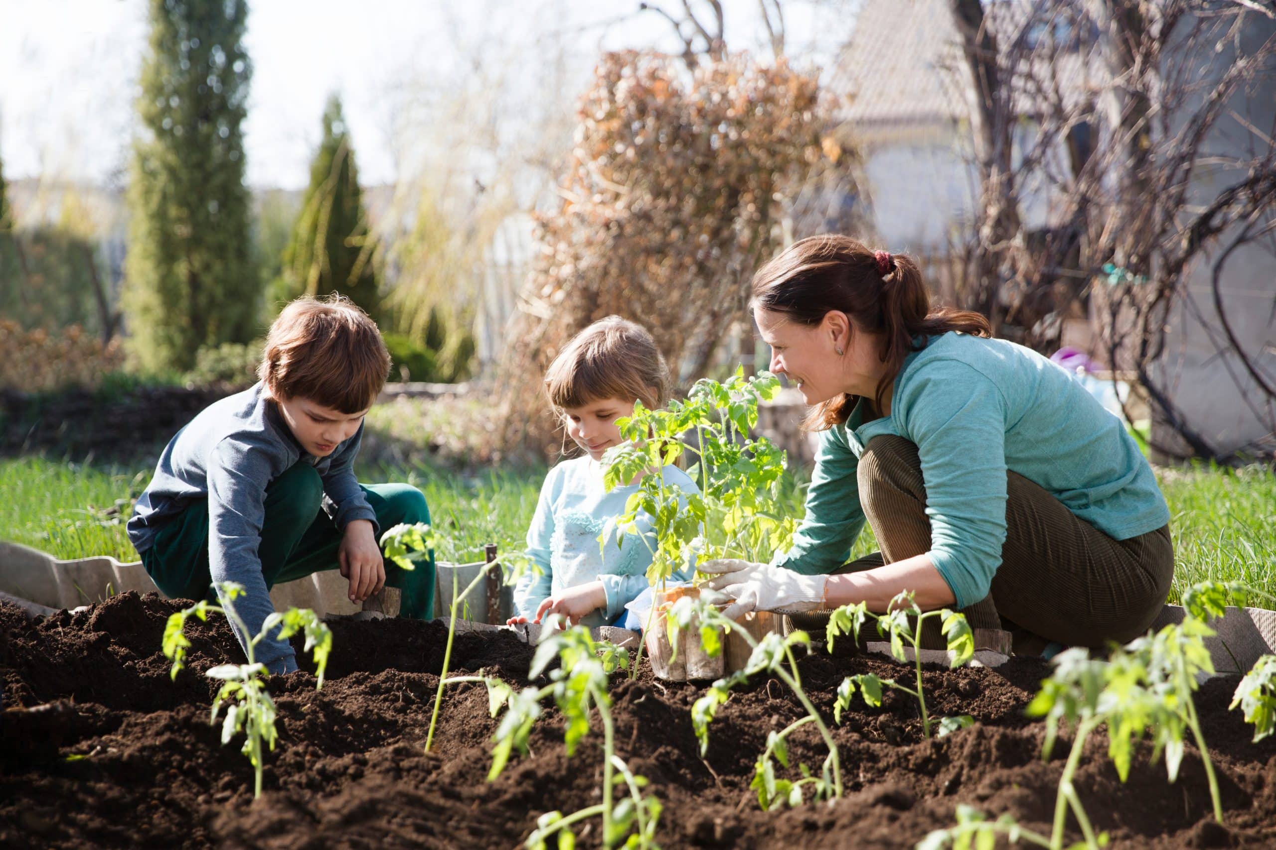 From the Roots Up: Doing Our Bit to Tackle Climate Change